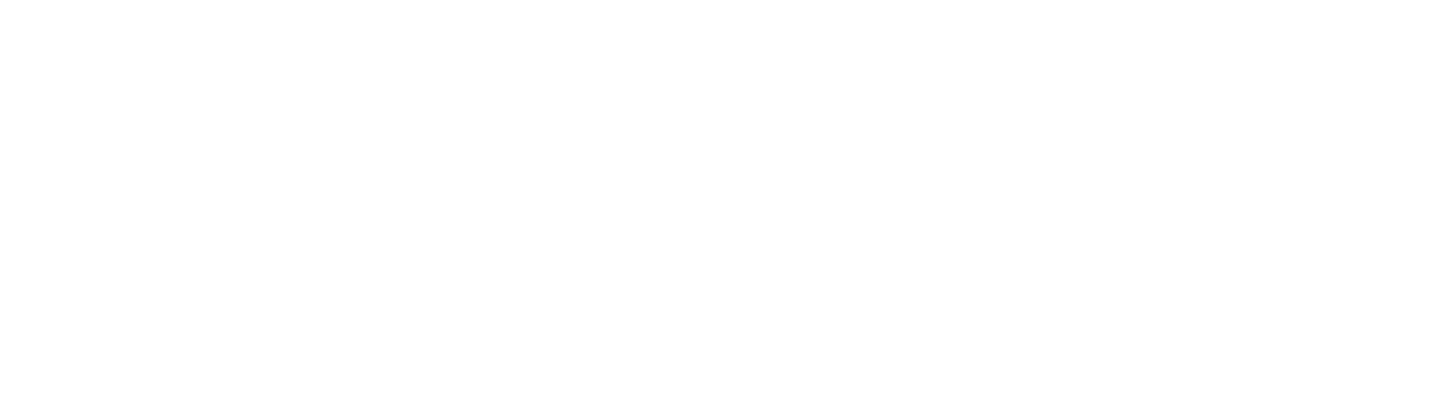 Sriram Chemicals